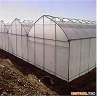 Durable Multi Span Agriculture Equipment Polythene Greenhouse